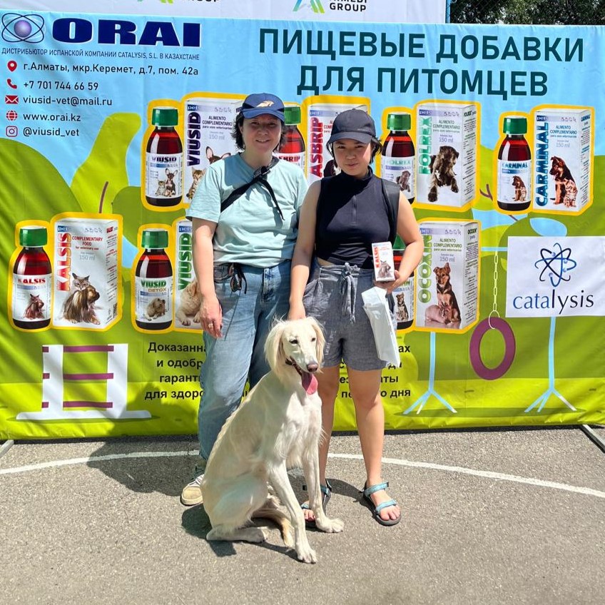 Выставка Dog Summer Kazakhstan 2024