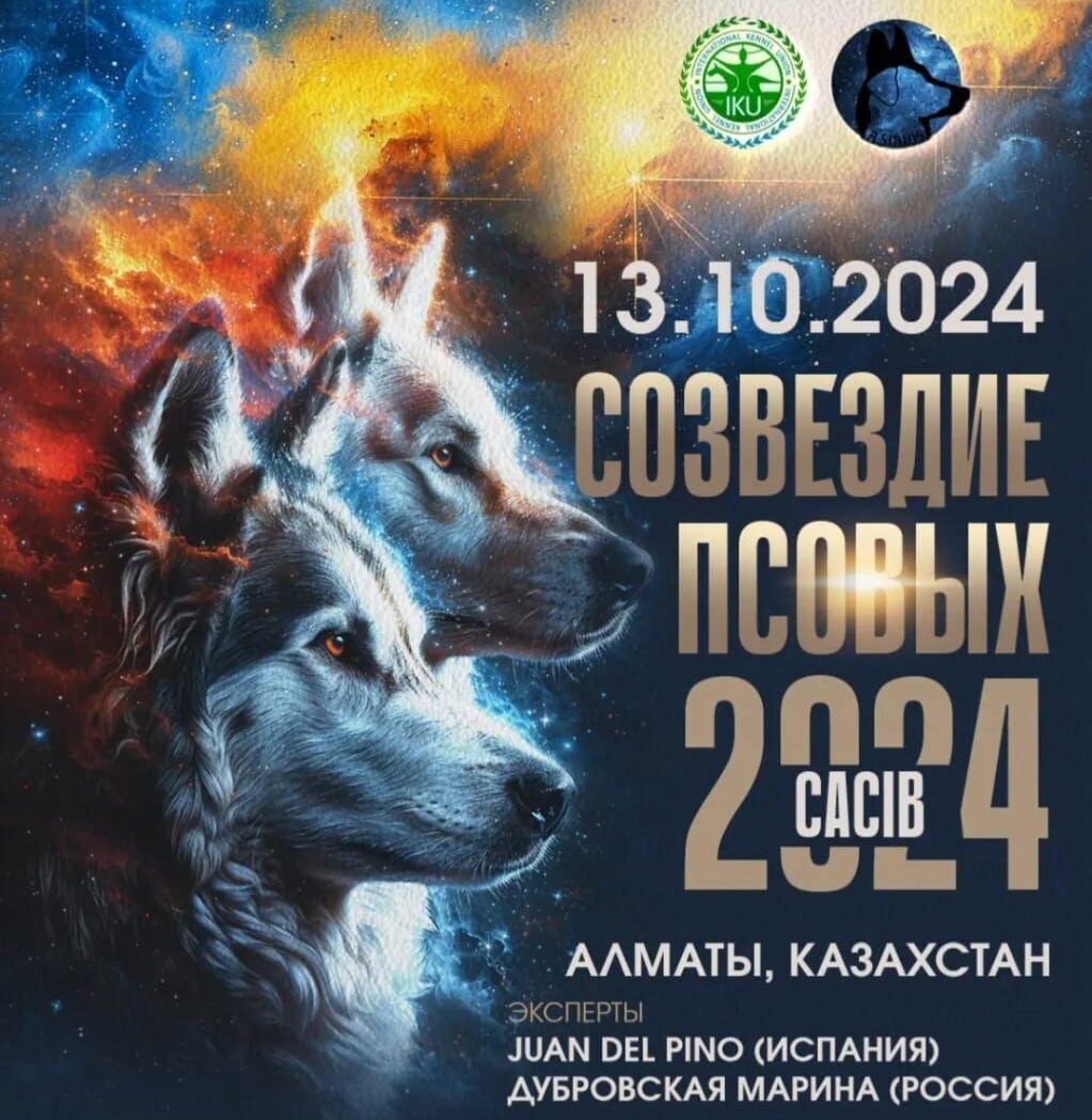 Международная выставка собак 2024